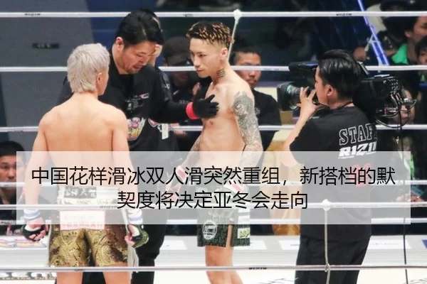 zhong-guo-hua-yang-hua-bing-shuang-ren-hua-tu-ran-chong-zu-xin-da-dang-de-mo-qi-du-jiang-jue-ding-ya-dong-hui-zou-xiang-3-212.jpg